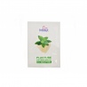 Plasturi antireumatici menthol Minut 6cm X 10cm, 24 bucati