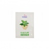 Plasturi antireumatici menthol Minut 12 cm x 18 cm, 24 bucati